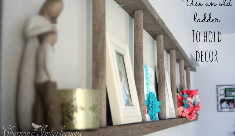 Lovely Ladder Shelf