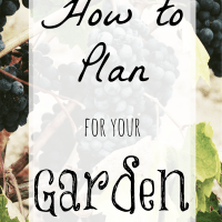 How to Plan for a Garden