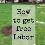If you’ve ever hired out for a big home improvement project, you’ll know that the bulk of the cost is for labor. Wouldn’t it be great to eliminate that cost altogether? There is a way, and you can read about it in this article.