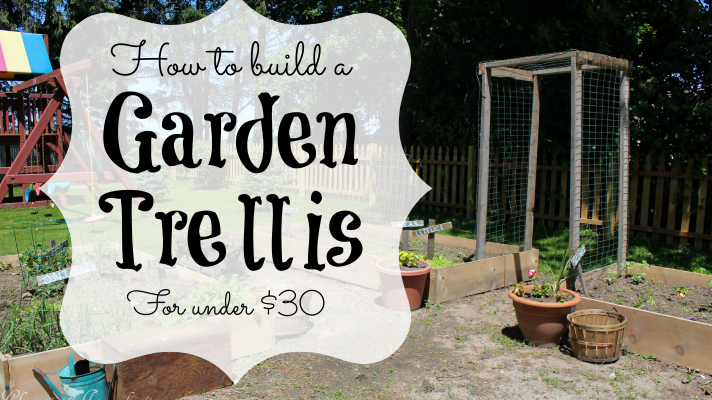How to Build a Garden Trellis for $30