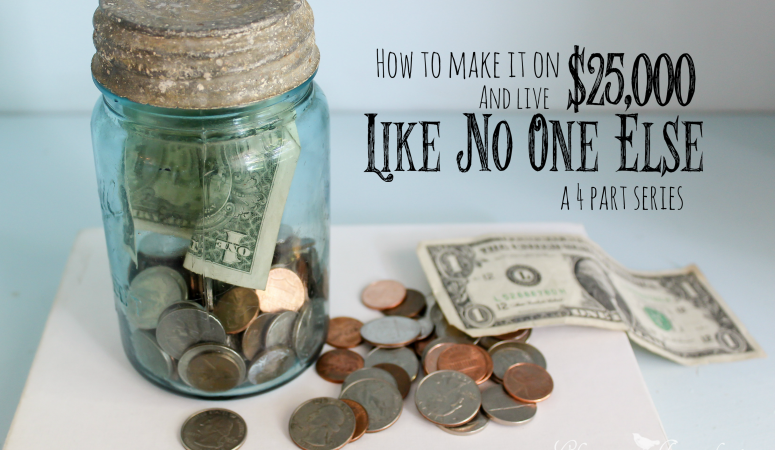 How to Make it on $25,000 a Year (and live like no one else): Part 1