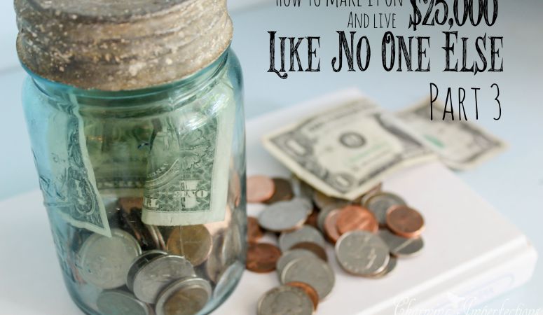 How to Make it on $25,000 a Year (and live like no one else): Part 3