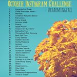 Photo challenge time for the month of October (which is coming incredibly soon)!!!!!
If you'd like to join, share this picture (so everyone knows why your posting beautiful fall photos and so they can join), and then tag all participating photos with: #charmingfall Of course I'll be following and featuring your work along the way ;)