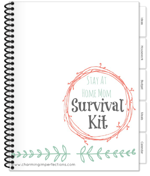 The Stay At Home Mom Survival Kit