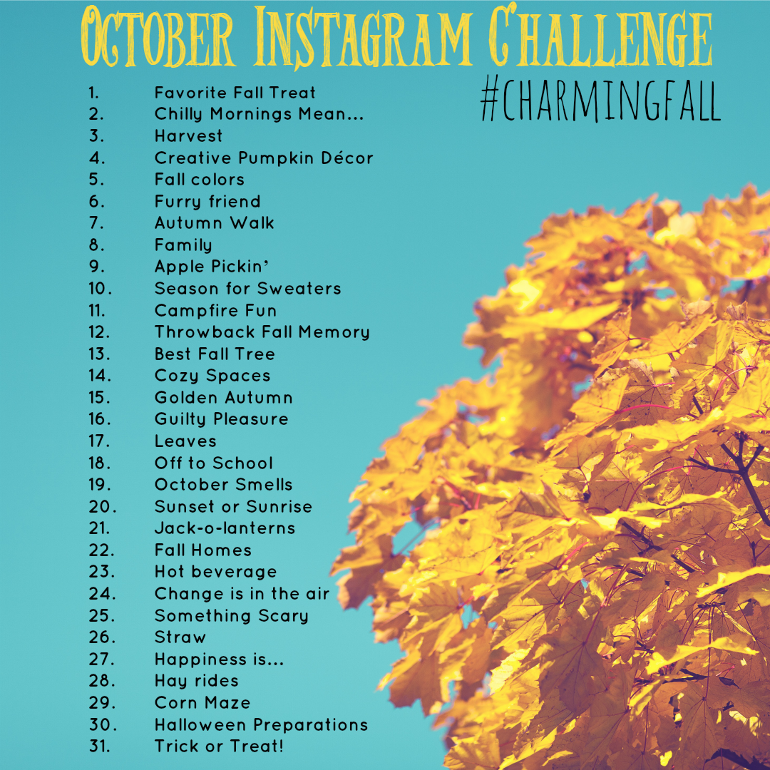 Join the October Instagram Challenge with me and use the hashtag: #charmingfall!